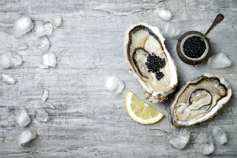 The Best Oyster Bars in America